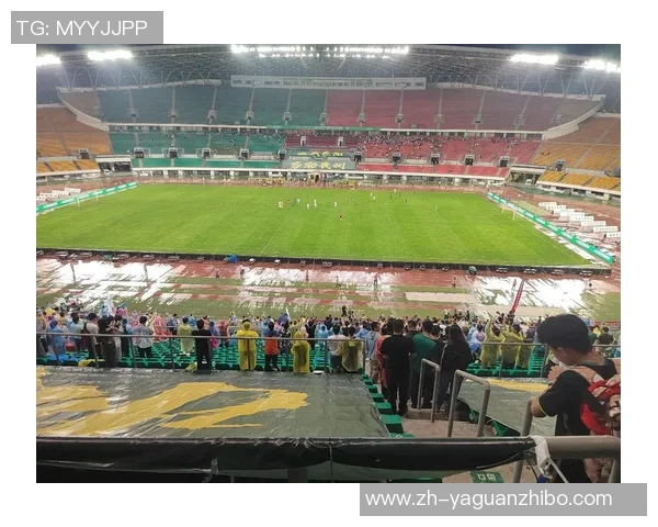 哈比足球的魅力与挑战探讨小球员成长与团队精神的完美结合